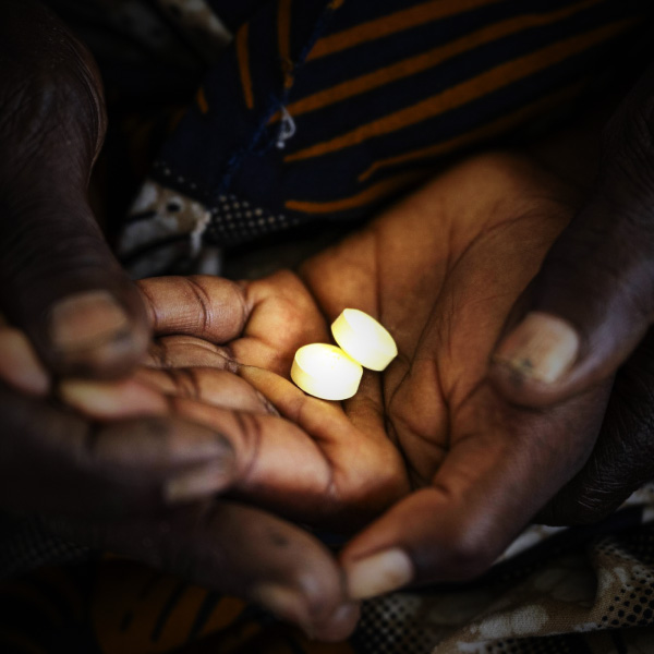 評価された疾病制圧への貢献